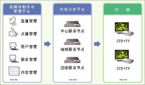 數字內容制作服務 為企業插上數字化轉型的翅膀
